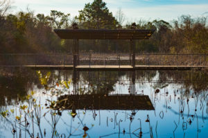 Sheldon Lake